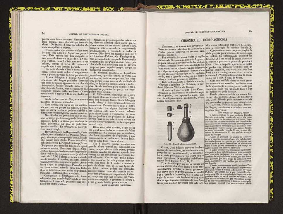Jornal de horticultura prtica IV 52
