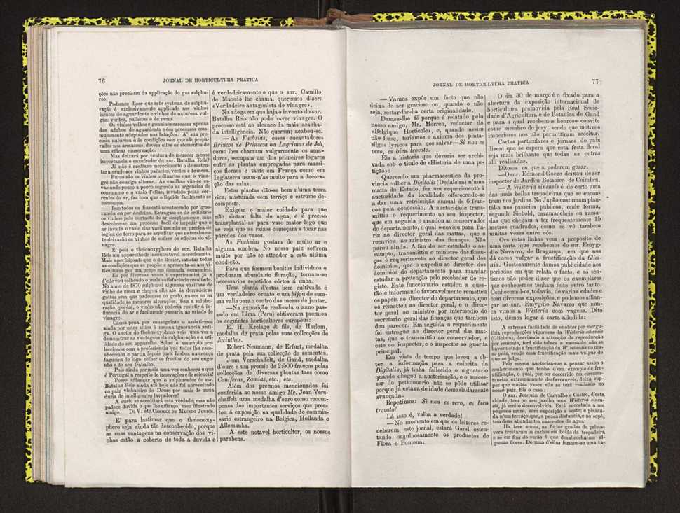 Jornal de horticultura prtica IV 53