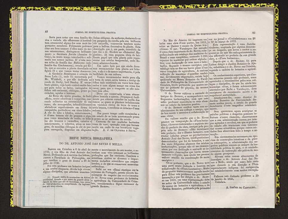 Jornal de horticultura pr�tica IV 58