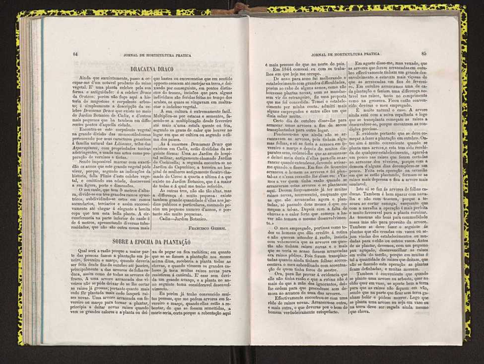 Jornal de horticultura prtica IV 59