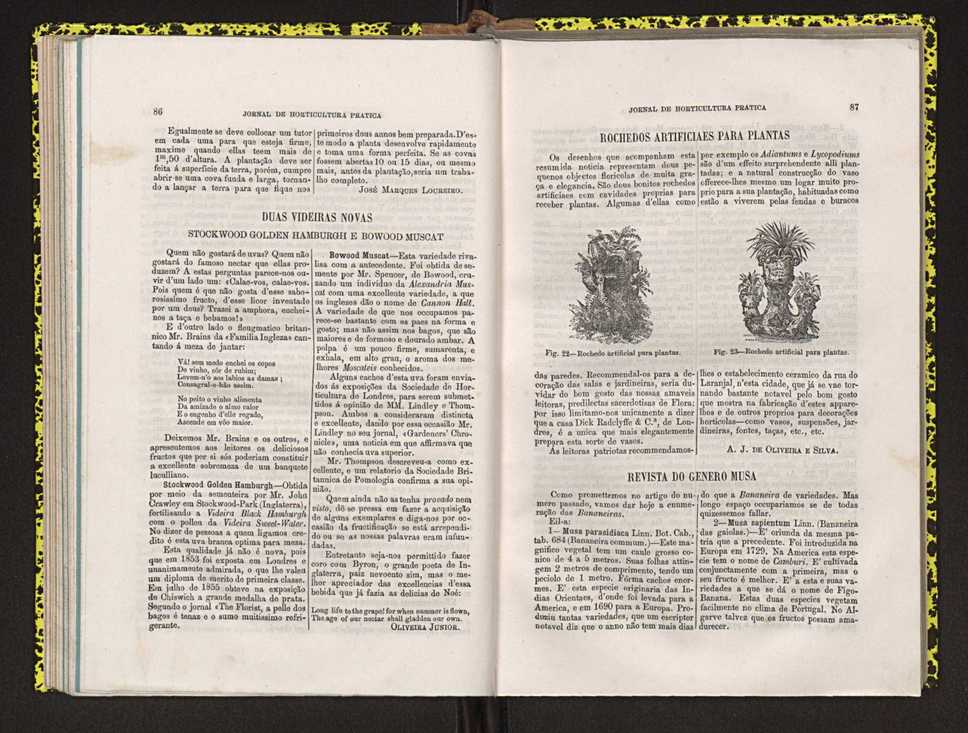 Jornal de horticultura prtica IV 60