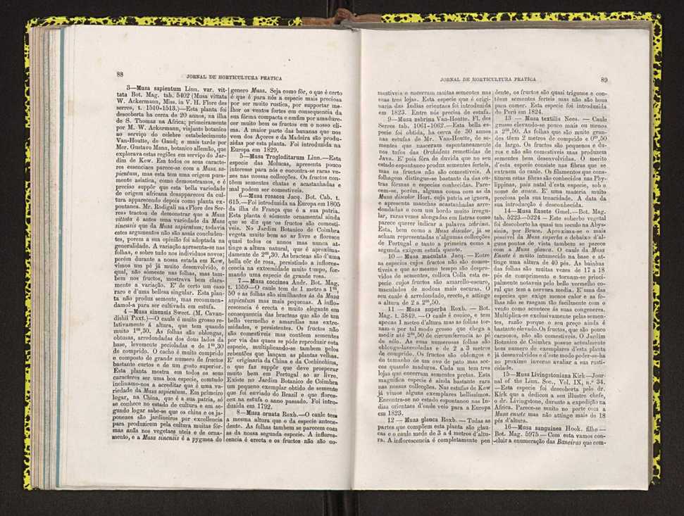 Jornal de horticultura prtica IV 61
