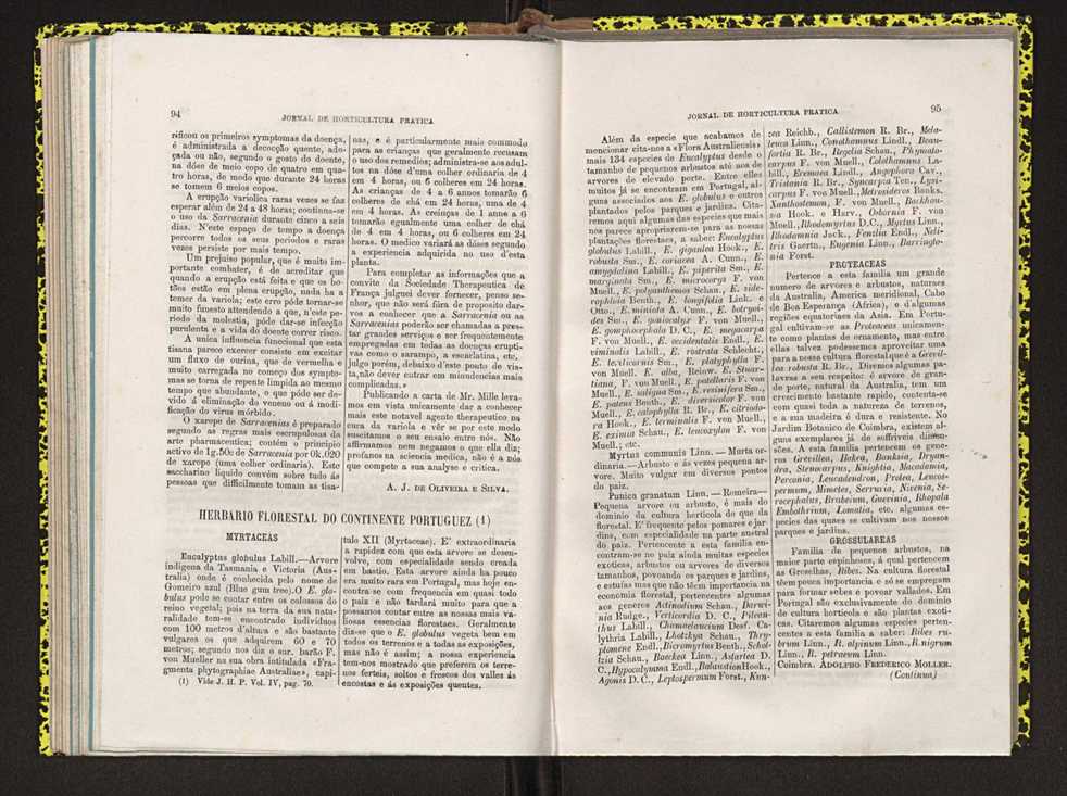 Jornal de horticultura prtica IV 64