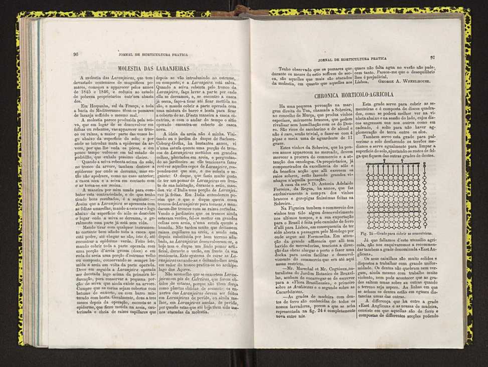Jornal de horticultura prtica IV 65