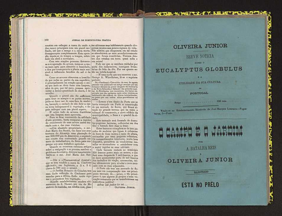 Jornal de horticultura prtica IV 67