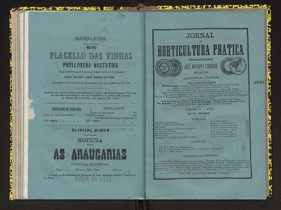 Jornal de horticultura prtica IV 68