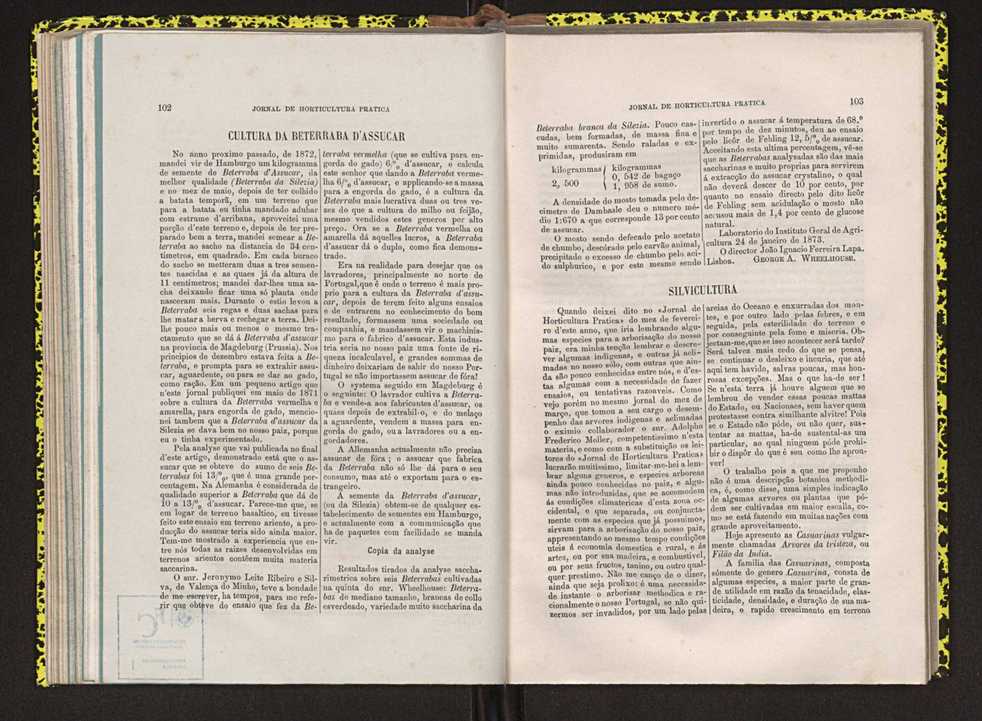 Jornal de horticultura prtica IV 70