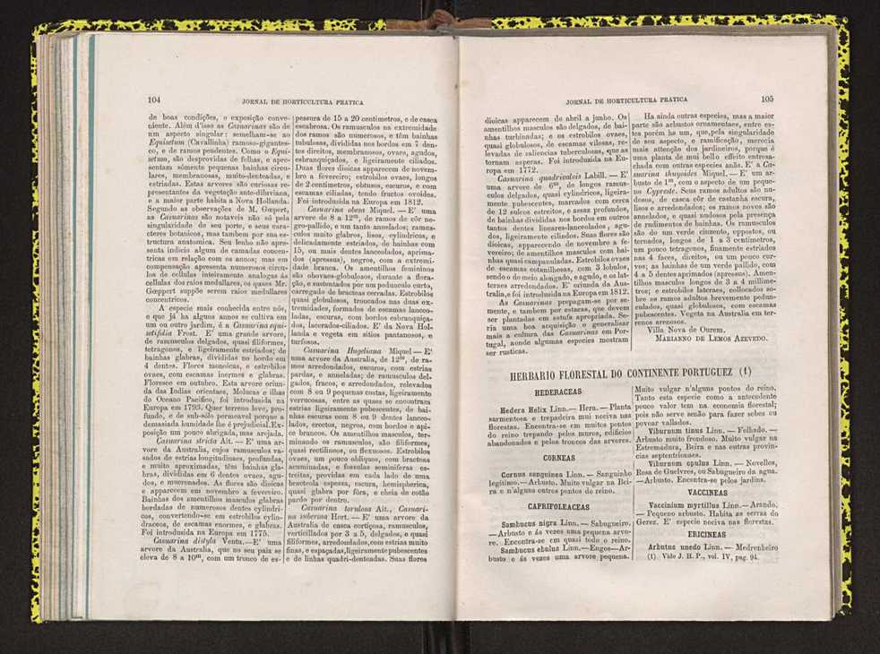 Jornal de horticultura prtica IV 71