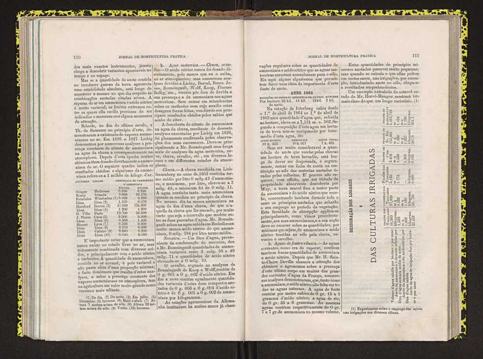 Jornal de horticultura pr�tica IV 74