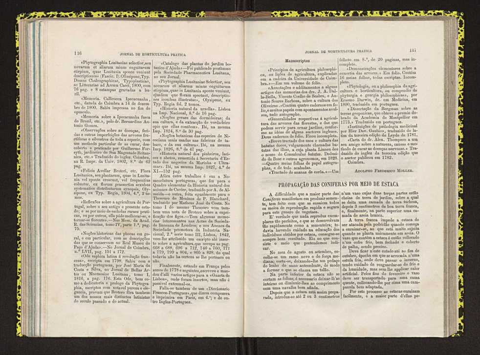 Jornal de horticultura prtica IV 77