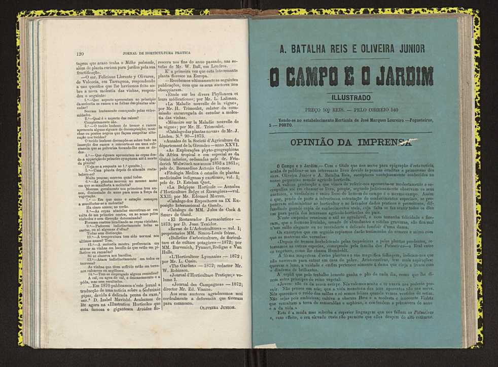 Jornal de horticultura prtica IV 79