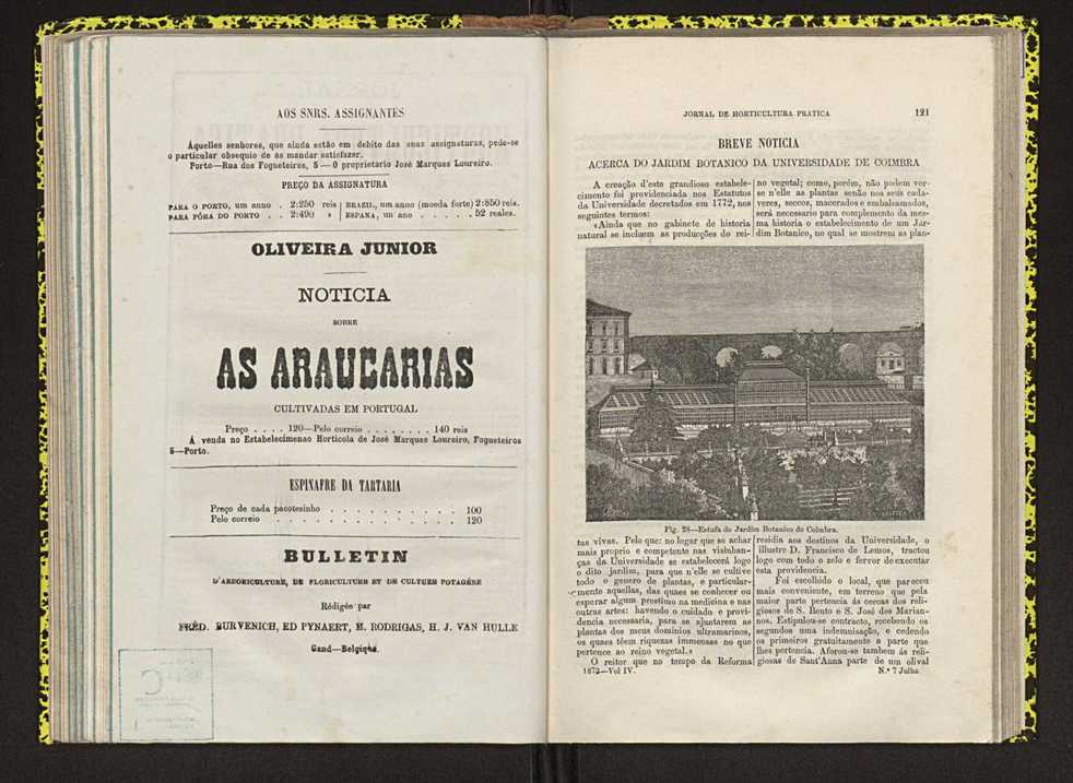 Jornal de horticultura prtica IV 81