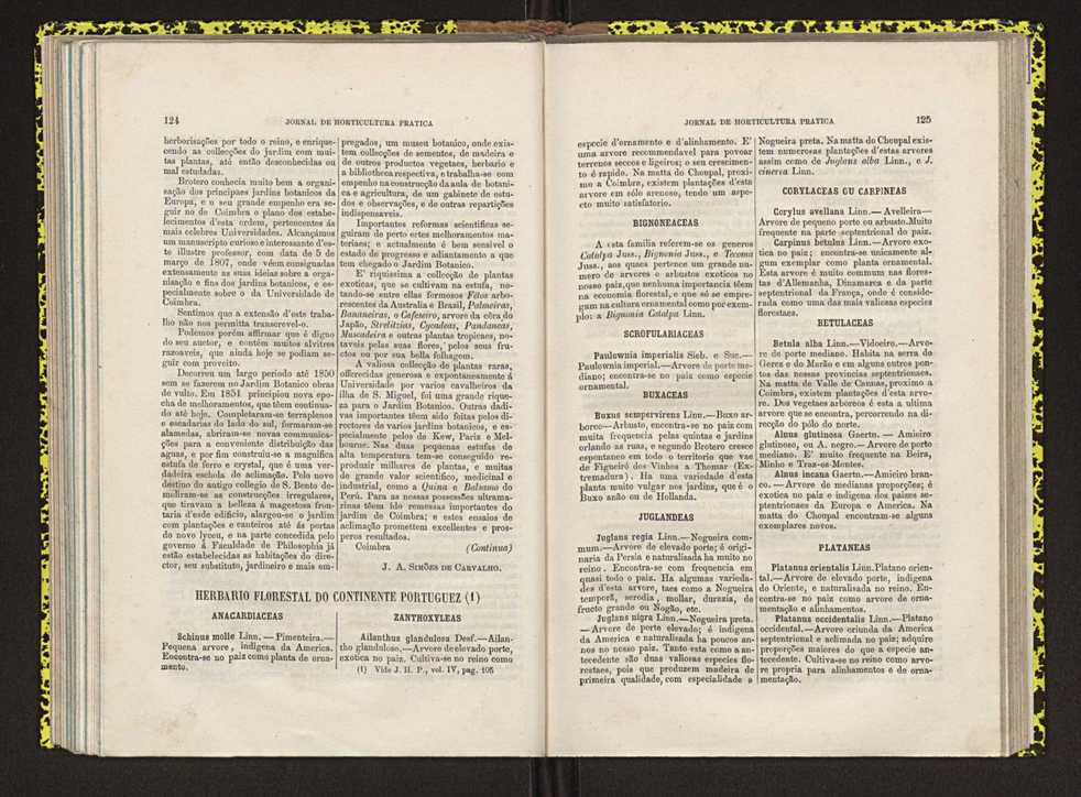 Jornal de horticultura prtica IV 83