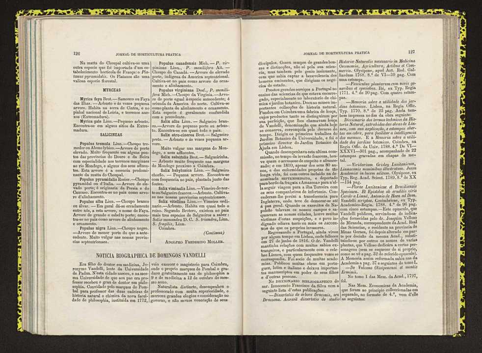 Jornal de horticultura prtica IV 84