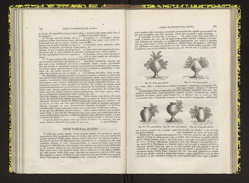 Jornal de horticultura prtica IV 87