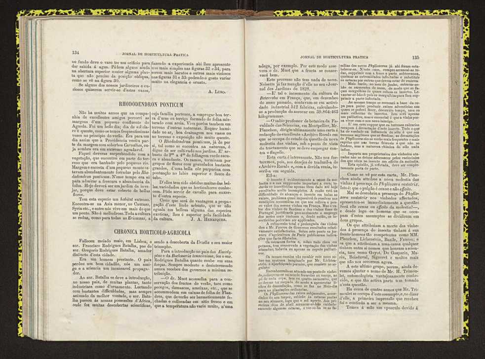 Jornal de horticultura prtica IV 88