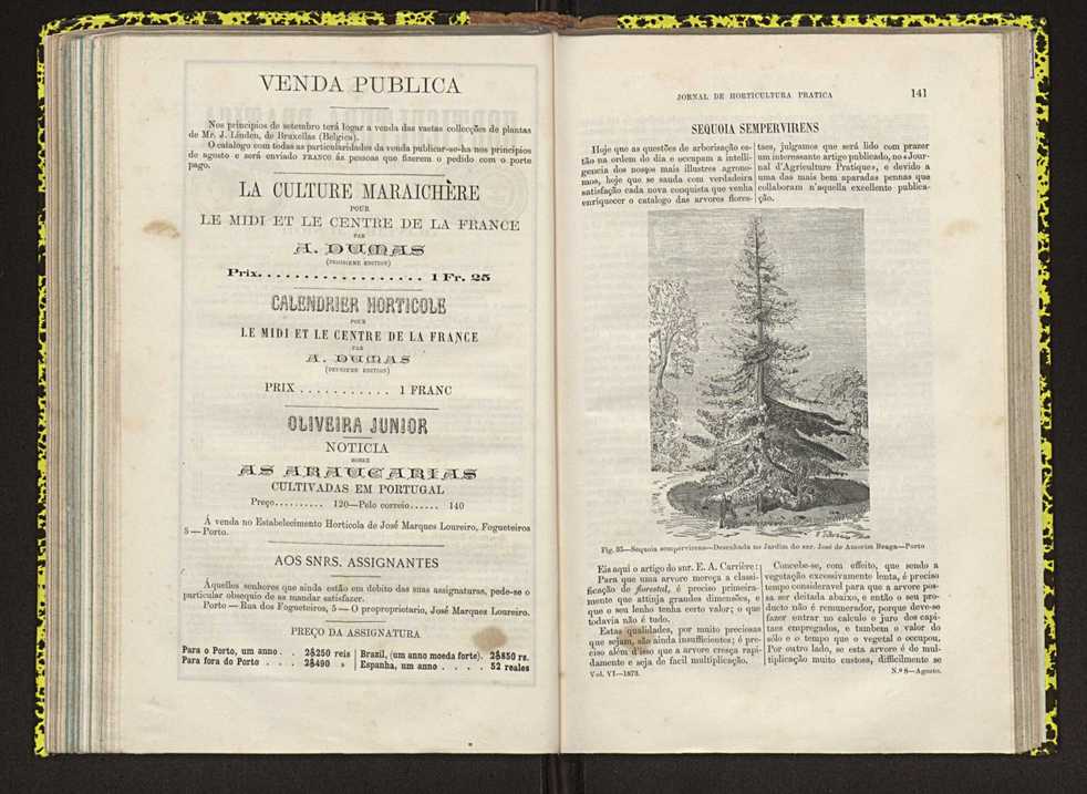 Jornal de horticultura prtica IV 93