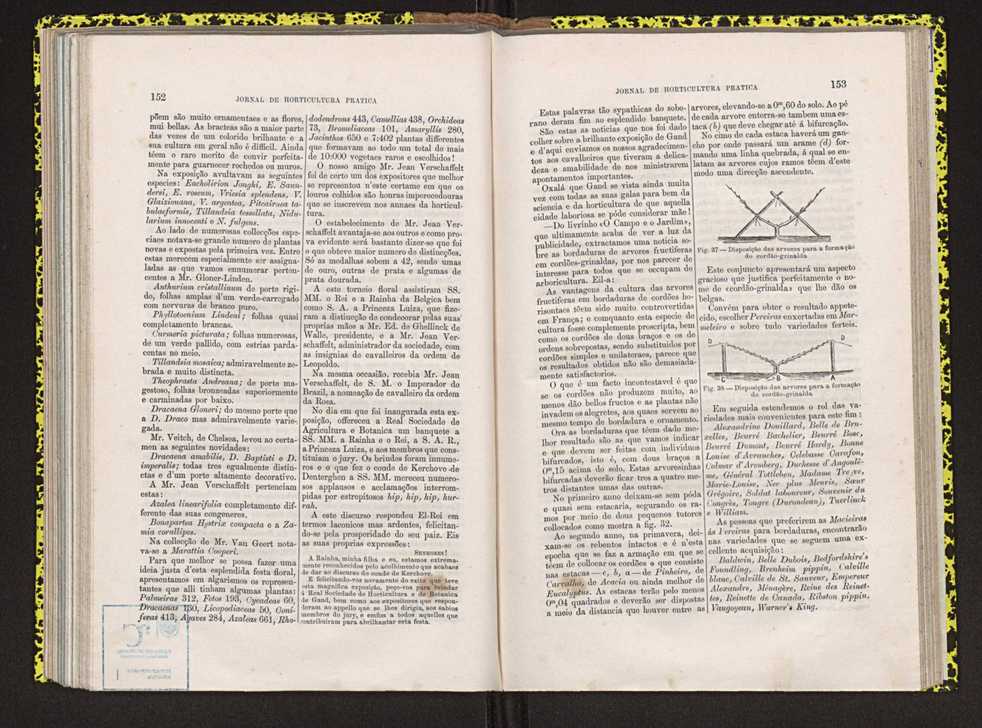Jornal de horticultura prtica IV 99