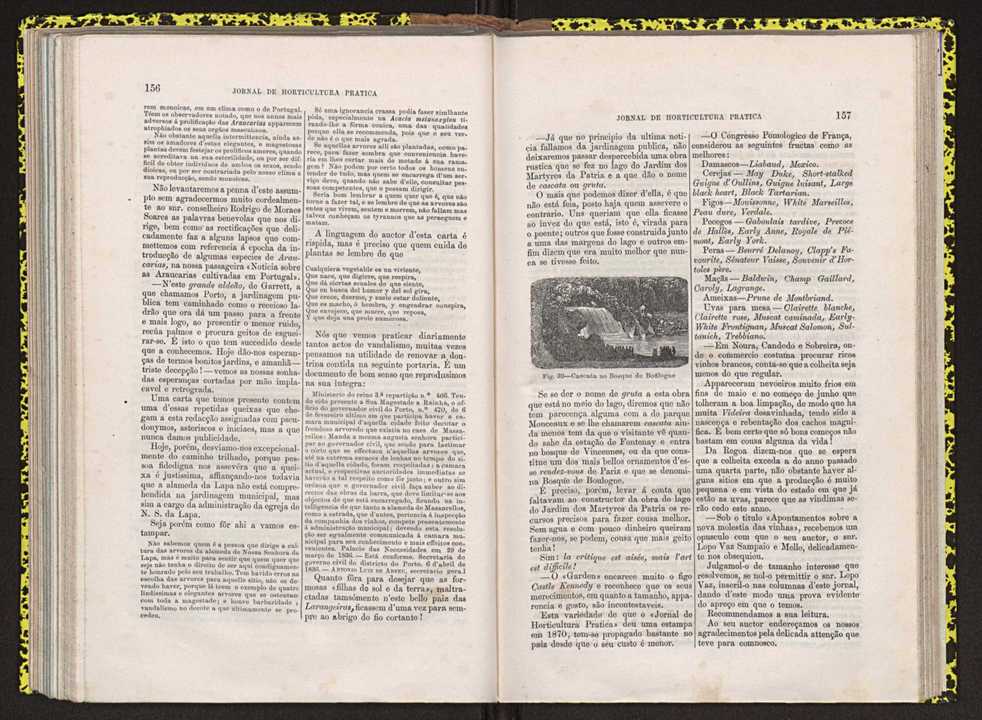 Jornal de horticultura prtica IV 101