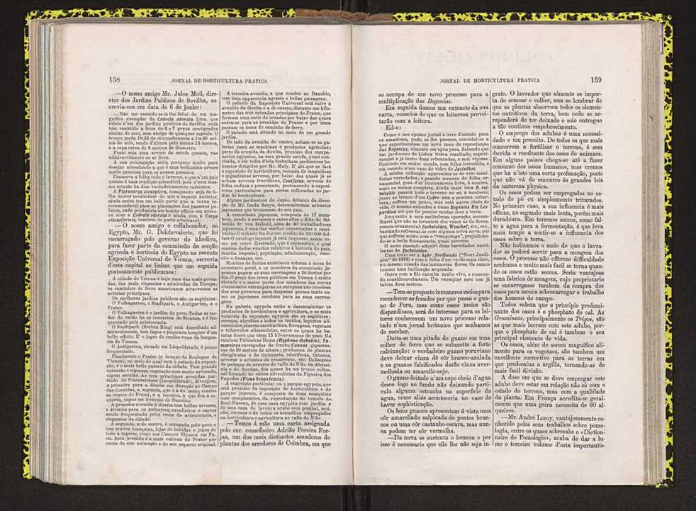 Jornal de horticultura prtica IV 102
