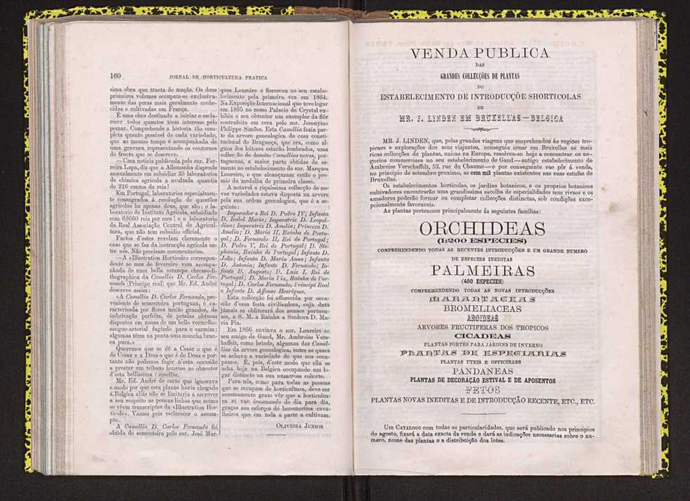 Jornal de horticultura prtica IV 103