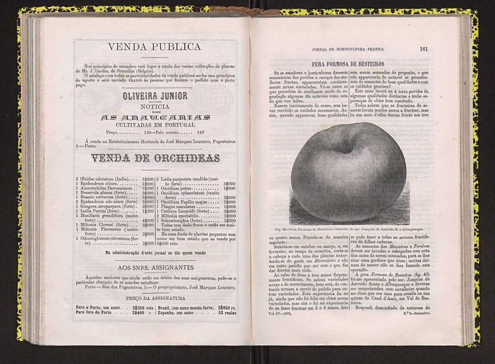 Jornal de horticultura prtica IV 105
