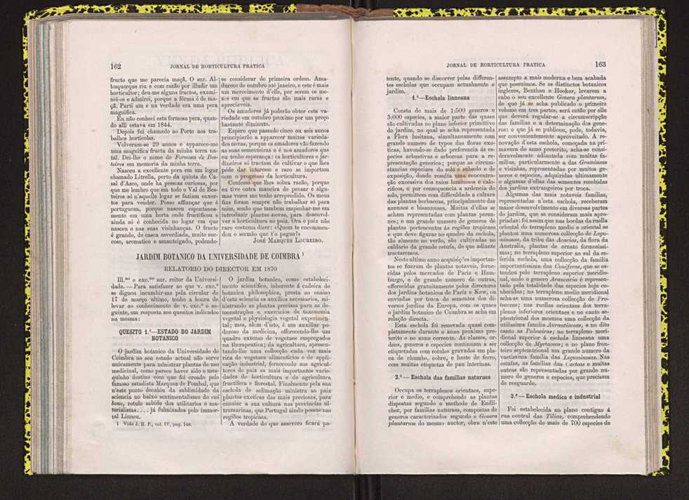 Jornal de horticultura prtica IV 106