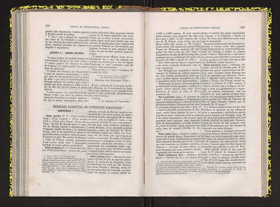 Jornal de horticultura pr�tica IV 109