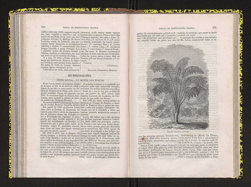 Jornal de horticultura prtica IV 110