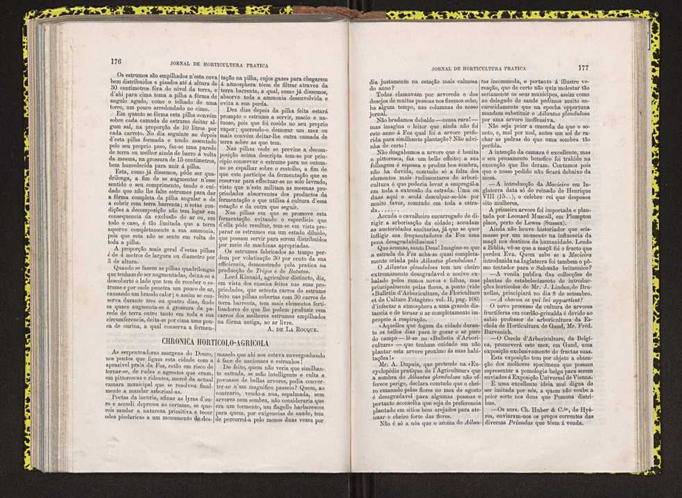 Jornal de horticultura prtica IV 113