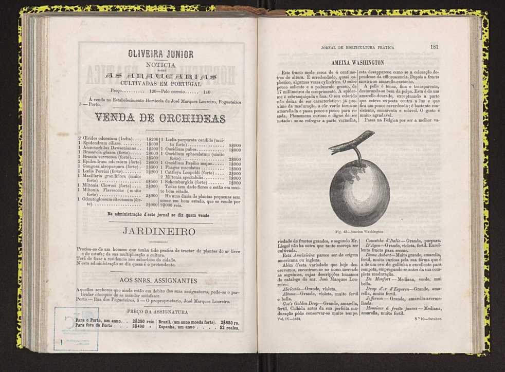 Jornal de horticultura prtica IV 117