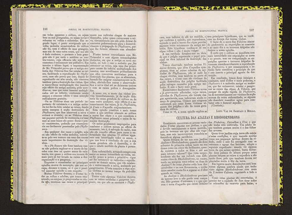 Jornal de horticultura prtica IV 120