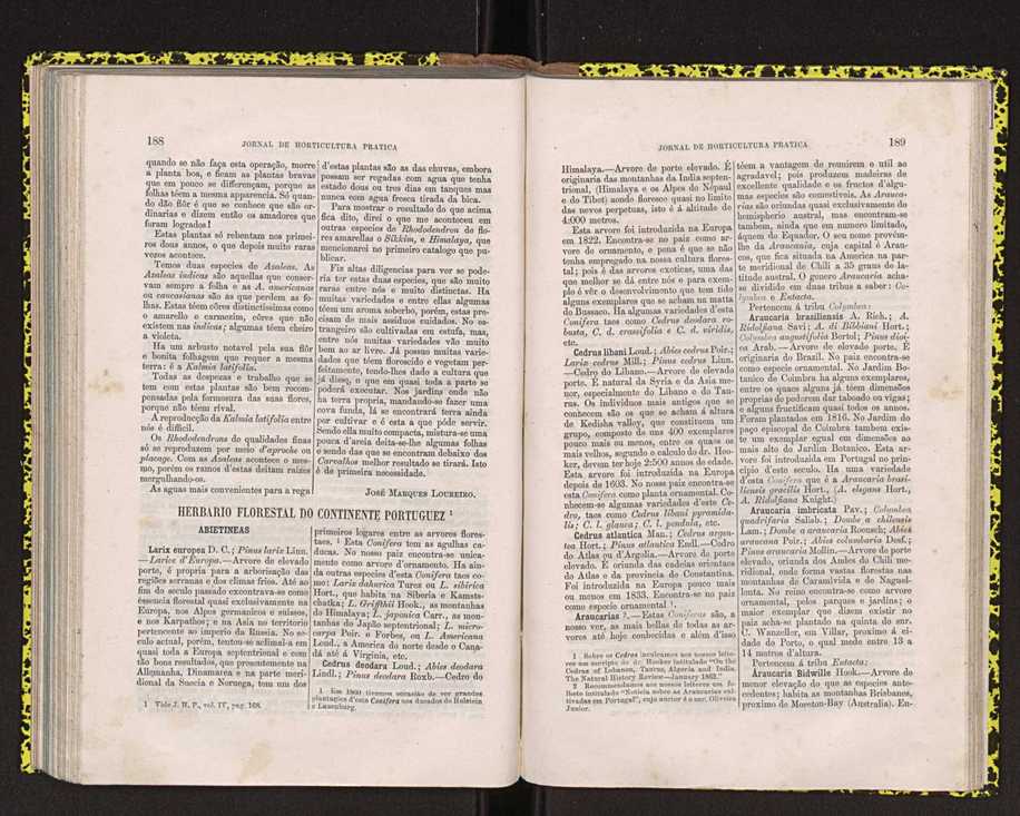 Jornal de horticultura pr�tica IV 121