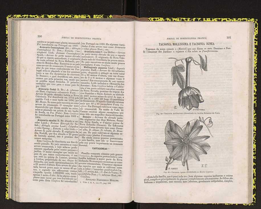 Jornal de horticultura prtica IV 122