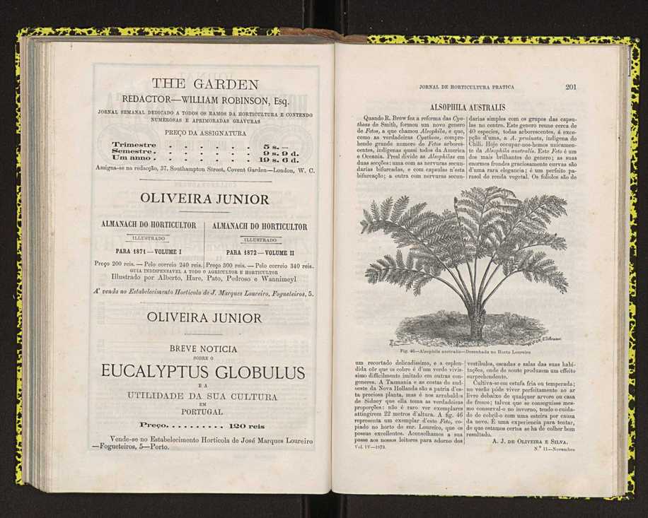 Jornal de horticultura prtica IV 129