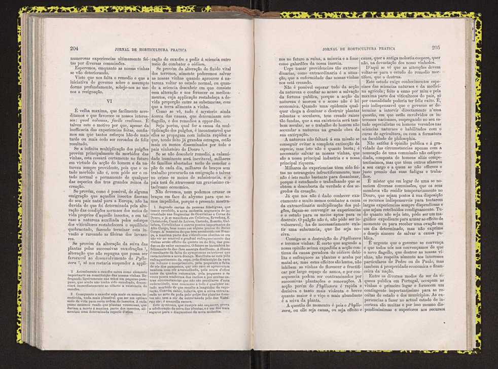 Jornal de horticultura prtica IV 131