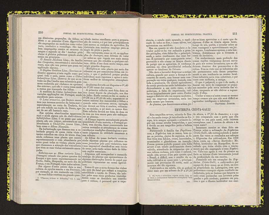Jornal de horticultura prtica IV 134