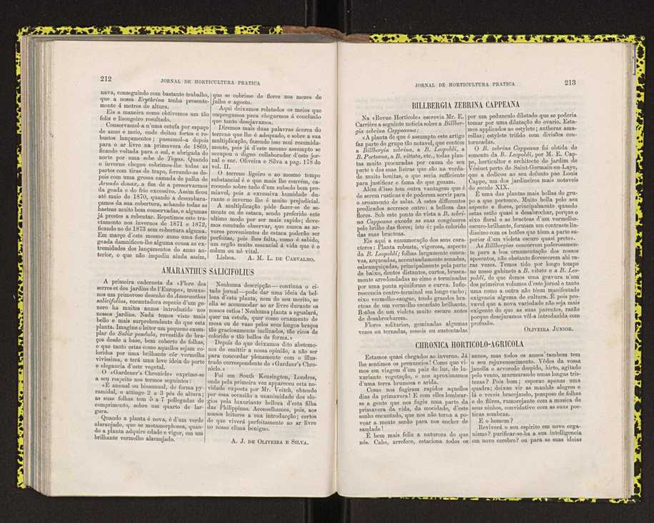 Jornal de horticultura pr�tica IV 135