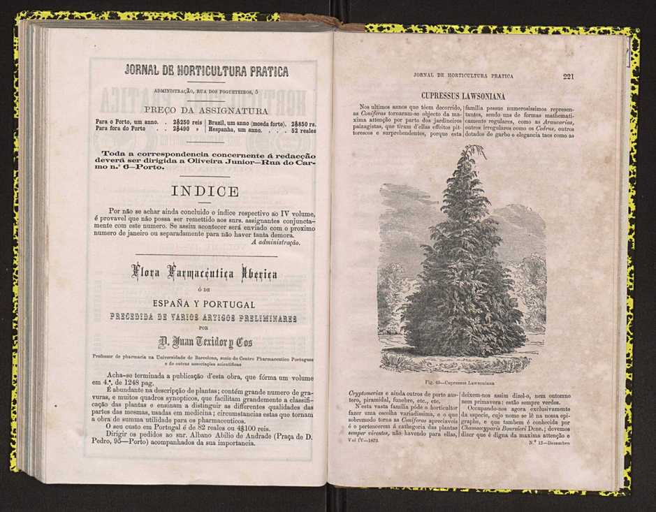 Jornal de horticultura prtica IV 141