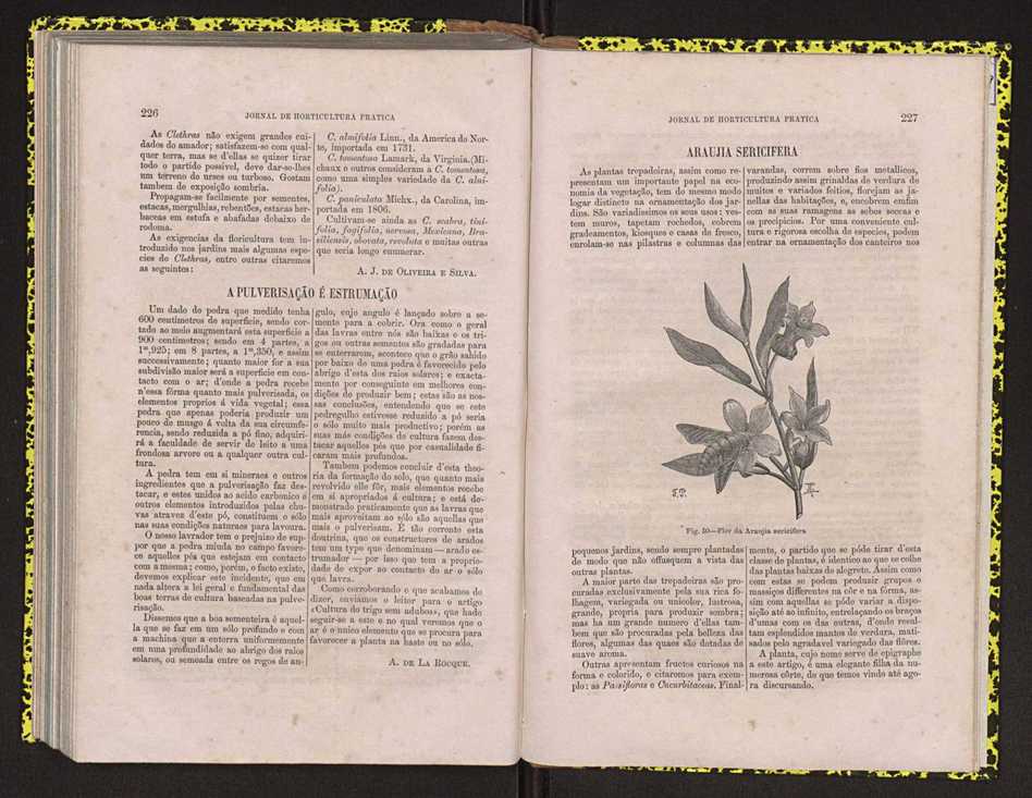 Jornal de horticultura prtica IV 144