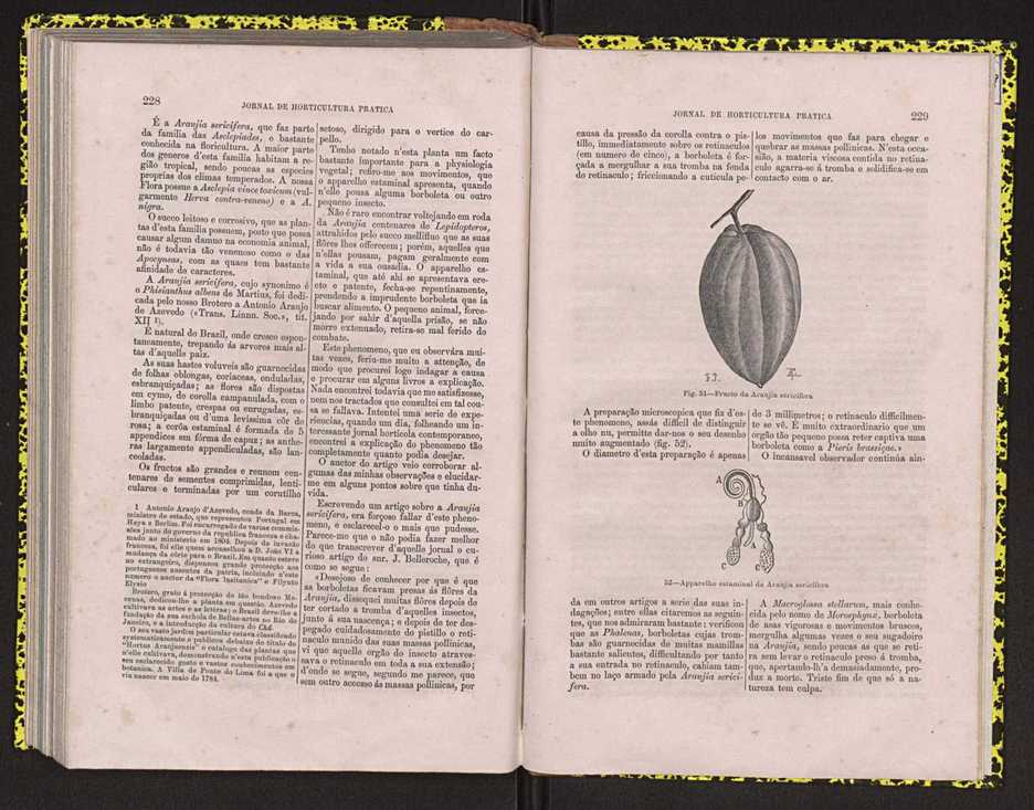 Jornal de horticultura prtica IV 145