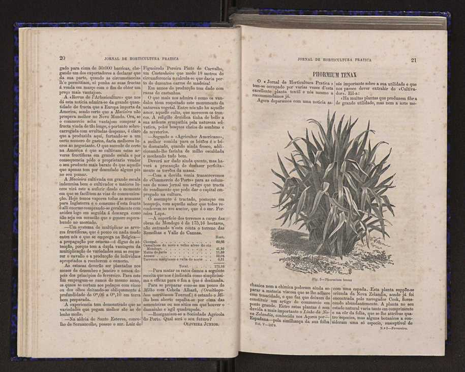 Jornal de horticultura pr�tica V 18
