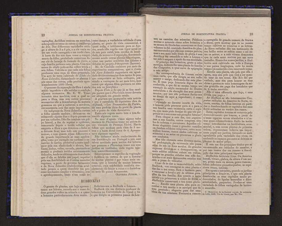 Jornal de horticultura pr�tica V 19