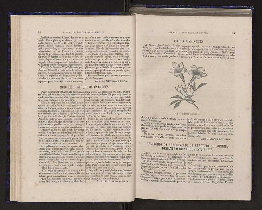 Jornal de horticultura prtica V 20