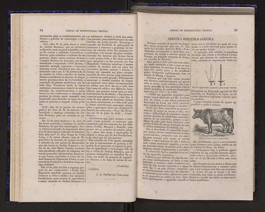 Jornal de horticultura prtica V 25