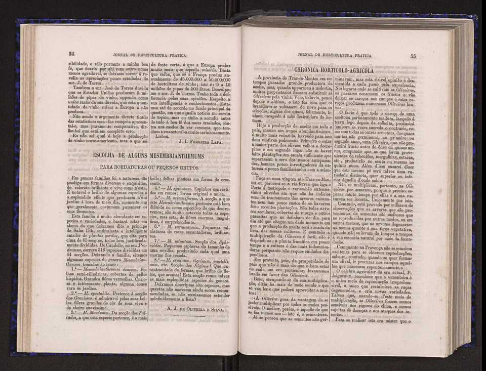 Jornal de horticultura prtica V 35