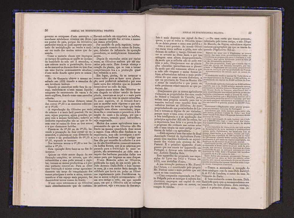 Jornal de horticultura prtica V 36