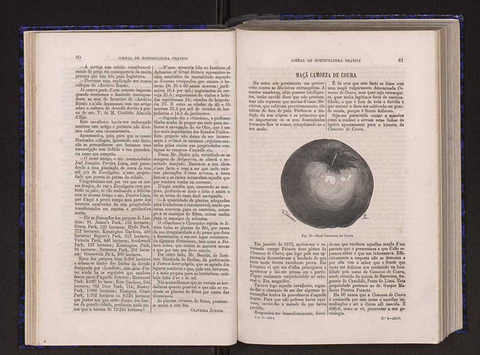 Jornal de horticultura pr�tica V 38