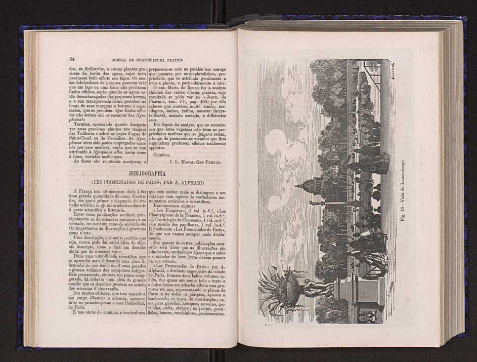 Jornal de horticultura prtica V 40