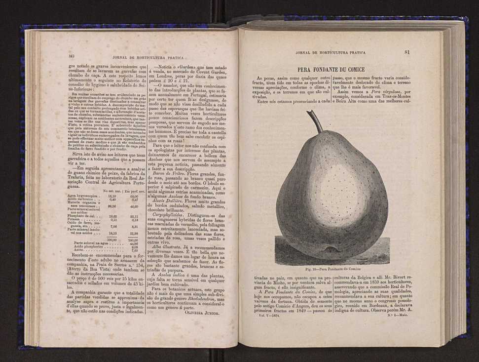 Jornal de horticultura prtica V 48